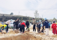 厦门植树节去哪里种树？这份春日指南请收好